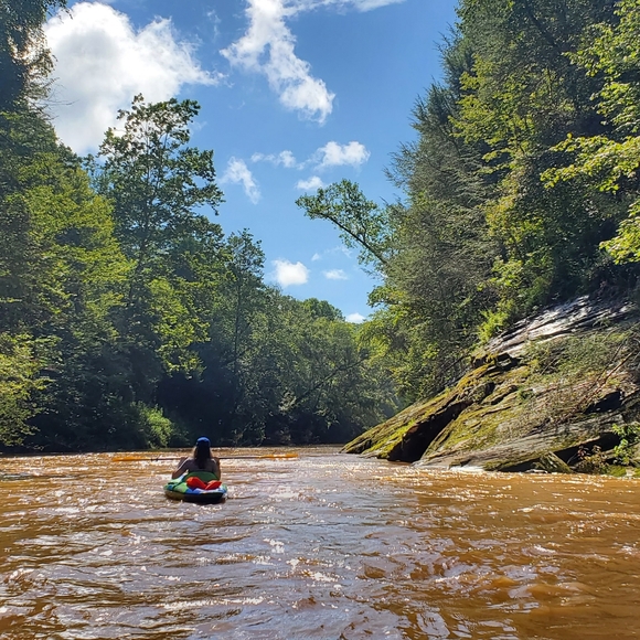 Meet your Posher, Elizabeth - Picture 12 of 14